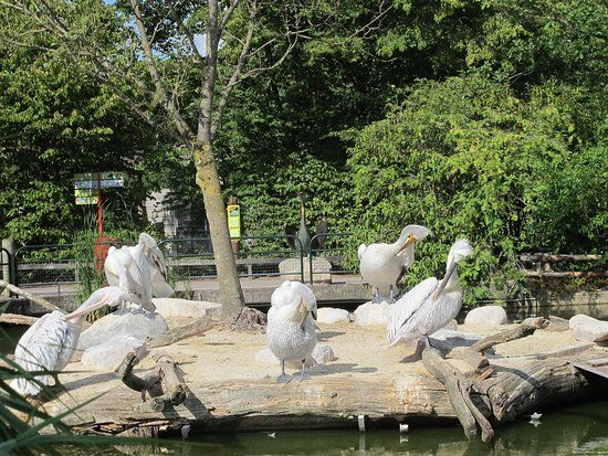 Allwetterzoo Münster